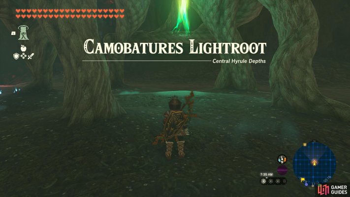 Camobatures Lightroot