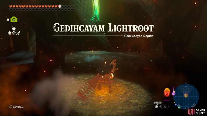 Gedihcayam Lightroot