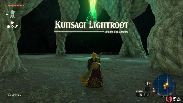 Kuhsagi Lightroot