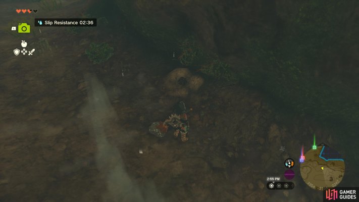 Hearty Truffle - The Legend of Zelda: Tears of the Kingdom Database ...