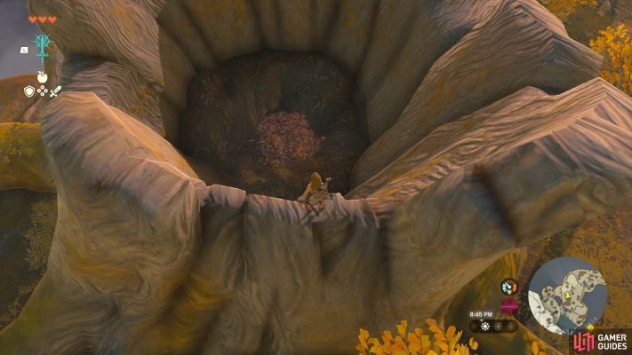 Korok Seed
