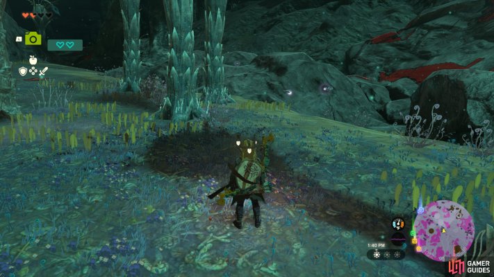 Deep Firefly - The Legend of Zelda: Tears of the Kingdom Database ...