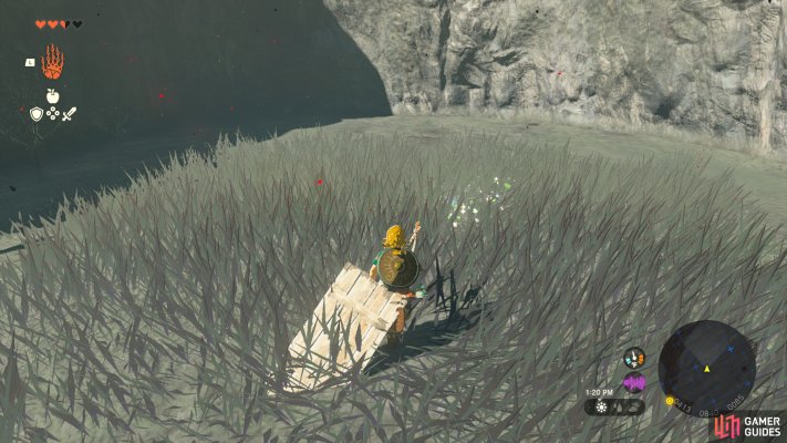 Korok Seed