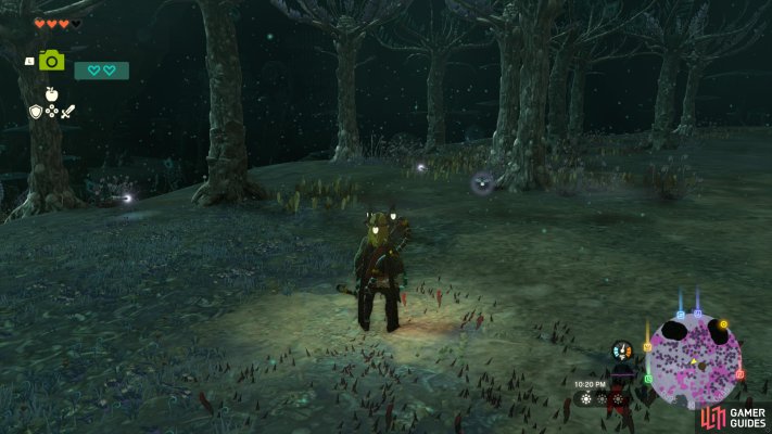 Deep Firefly - The Legend of Zelda: Tears of the Kingdom Database ...