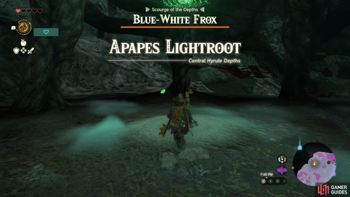 Apapes Lightroot
