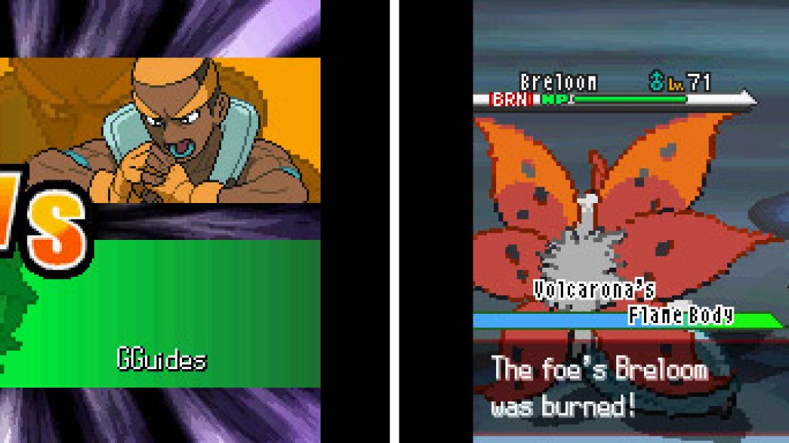 Marshal the Fighting-type Expert