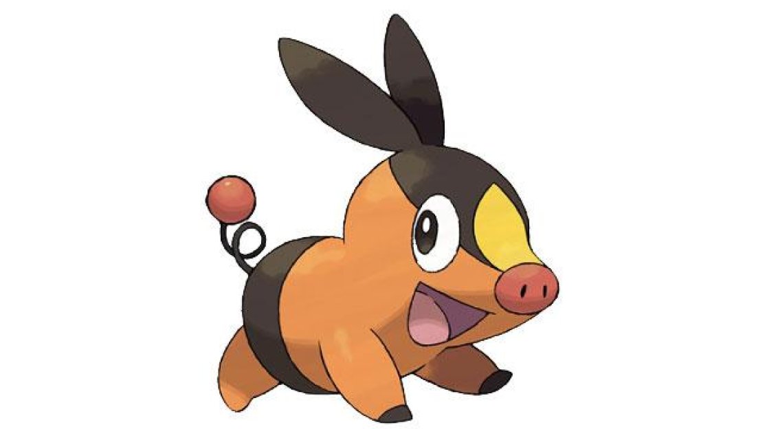 Tepig is a fire type.
