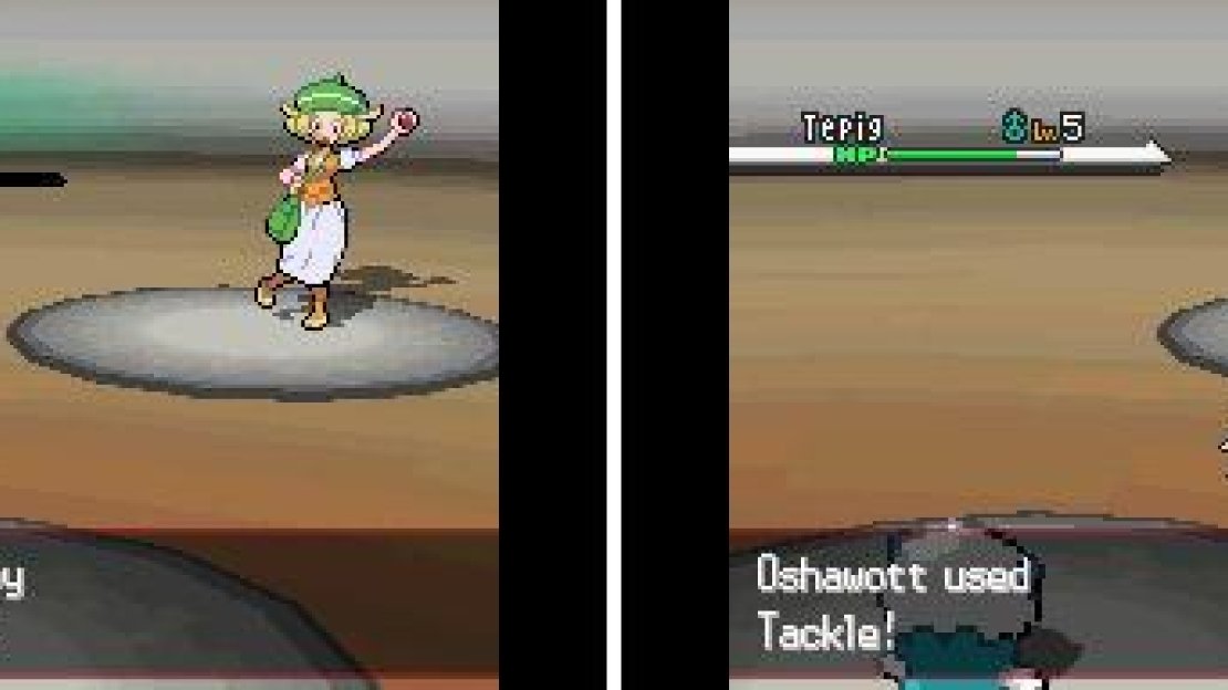 At heart, Pokemon is a turn-based RPG. You can select battle commands with the D-pad or via the touch screen.
