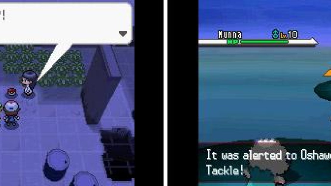 Past here lie a couple of new Pokemon and items that you can add to your collection.