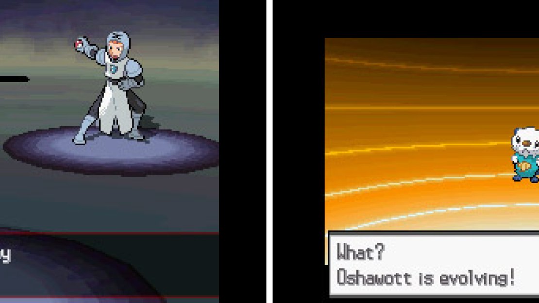 Team Plasma Grunt (left) and our first evolution (right) as Oshawott evolves into Dewott.