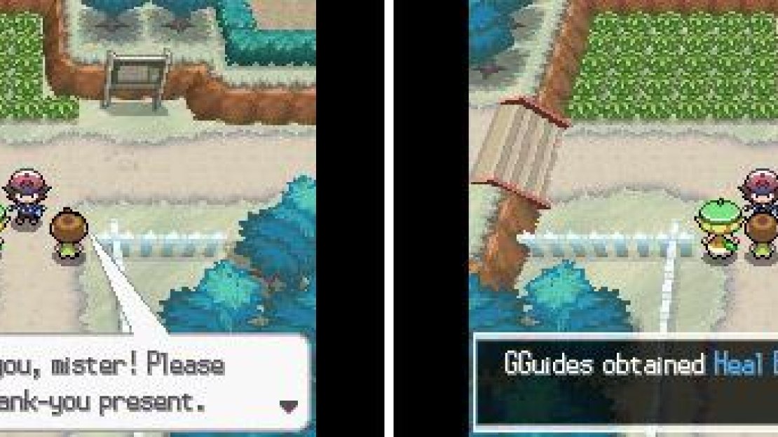 Did you know: some trainers catch Pokemon in certain balls for aesthetic purposes?