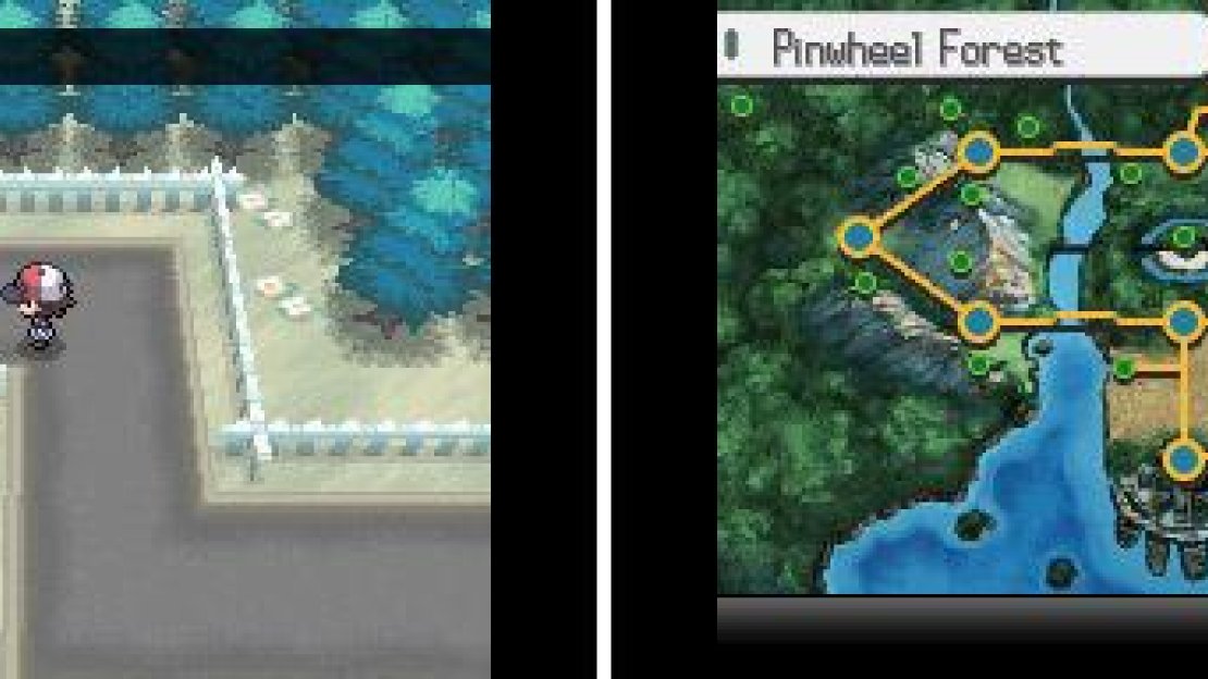 Pinwheel Forest