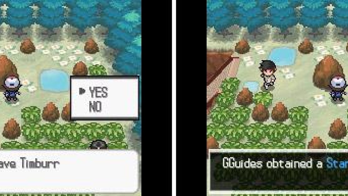 Once per day, you can let a Fighting Pokemon punch the rock for an item.