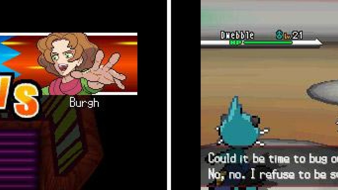 Burgh uses a variety of Bug type Pokémon.