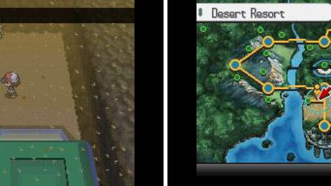 Desert Resort