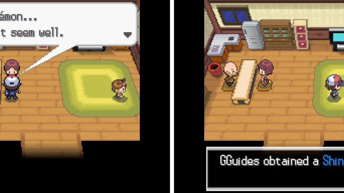 You can heal your Pokemon and grab a rare Shiny Stone from the house near the end.