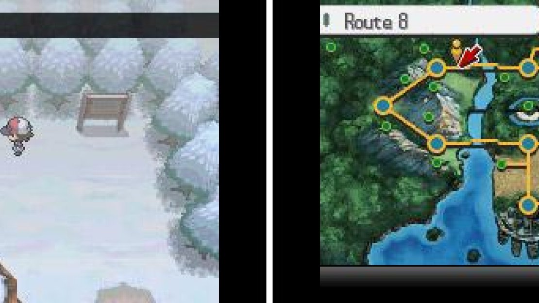 Route 8
