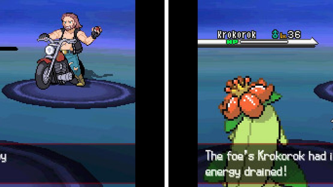The trainers here use mainly Dark type Pokemon.