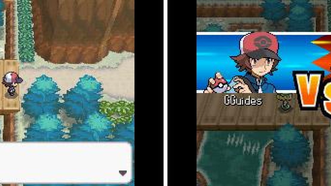 Not again… Thankfully this is your final test and if you come through this unscathed, you’re ready for the Elite Four.