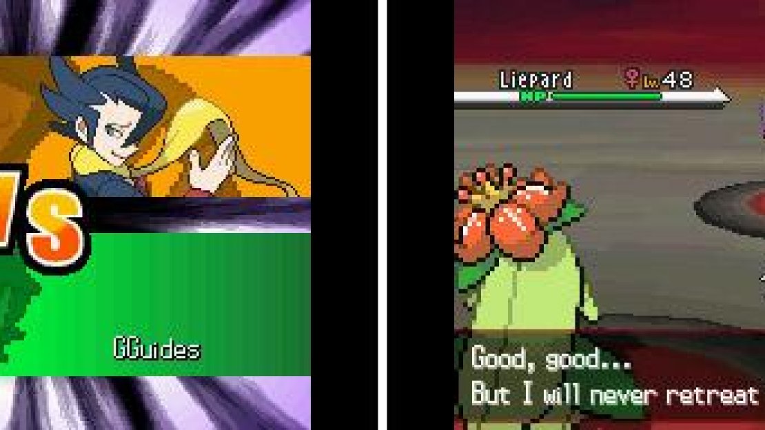 North-West: Grimsley the Dark-type Expert