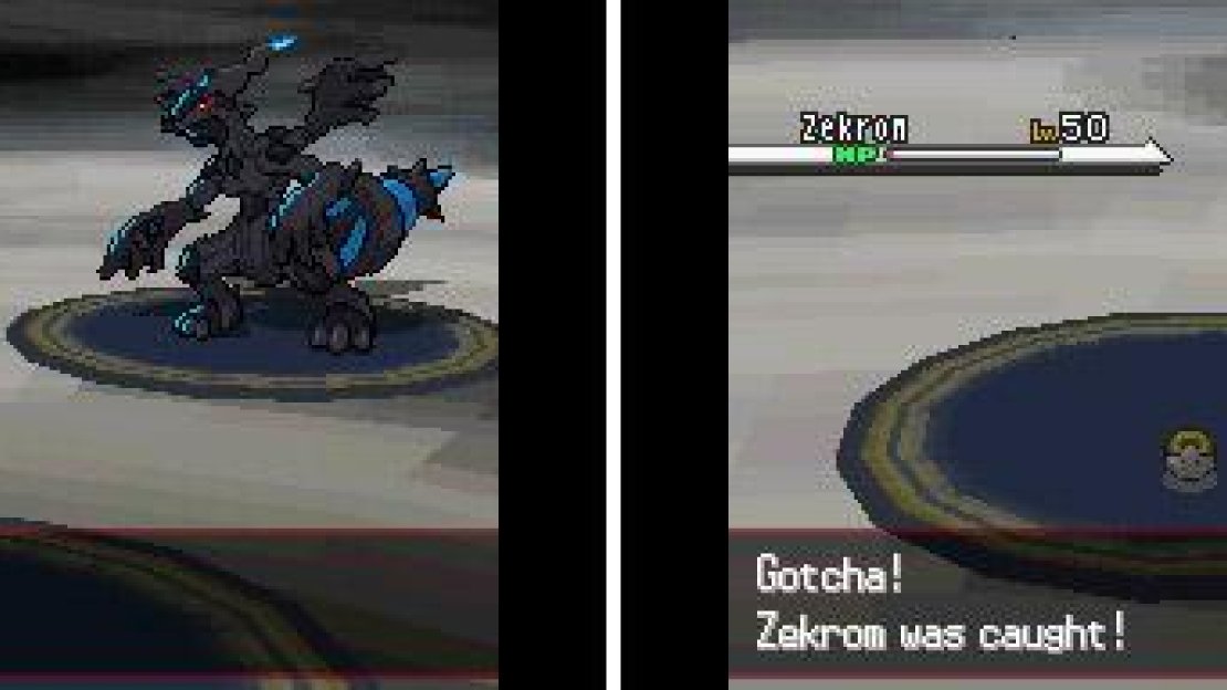 The two signature legendaries for Pokemon Black/White have finally appeared.