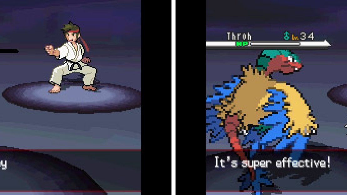 Black Belts obviously use Fighting types and they are well worth the EXP you get.