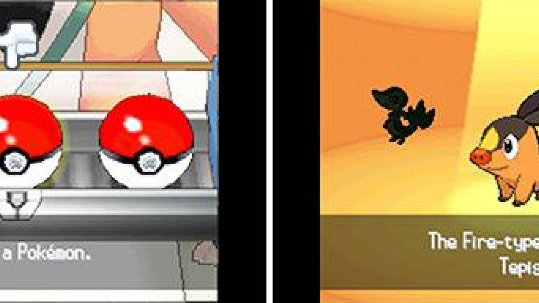 Tepig Starter Pokemon