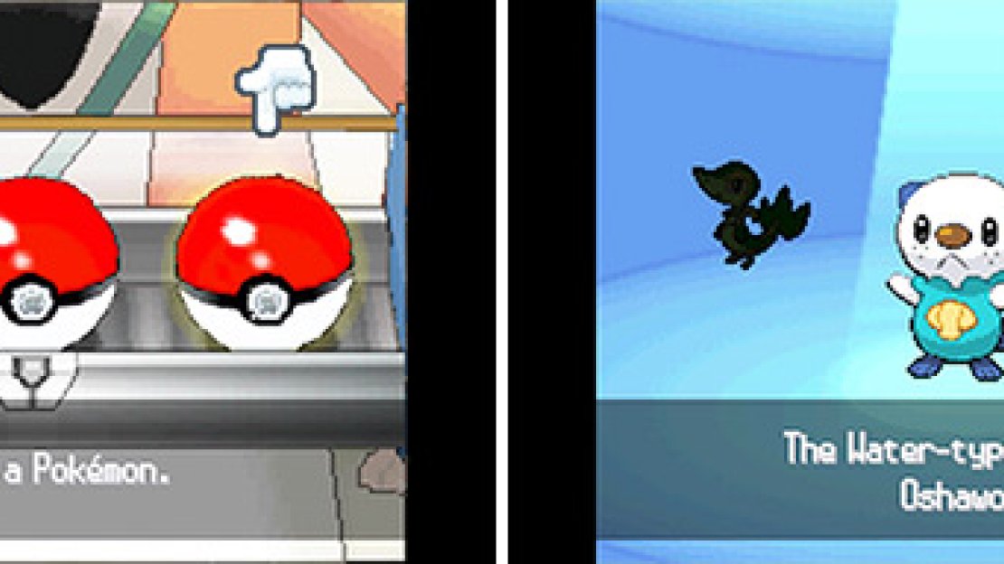 Oshawott Starter Pokemon