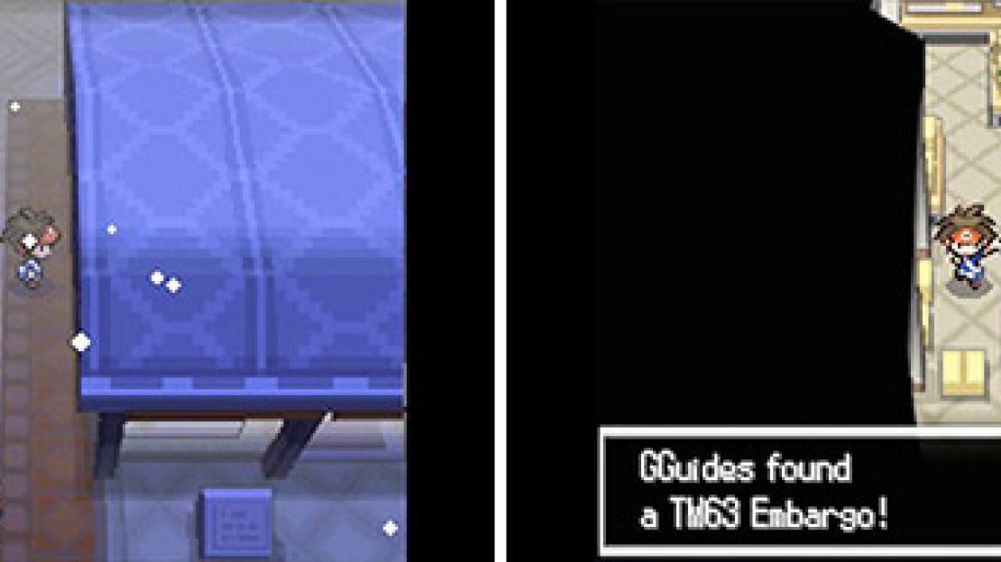 Embargo prevents the opposing Pokemon from using its held item. The Pokemon’s trainer also cannot use items for five turns.