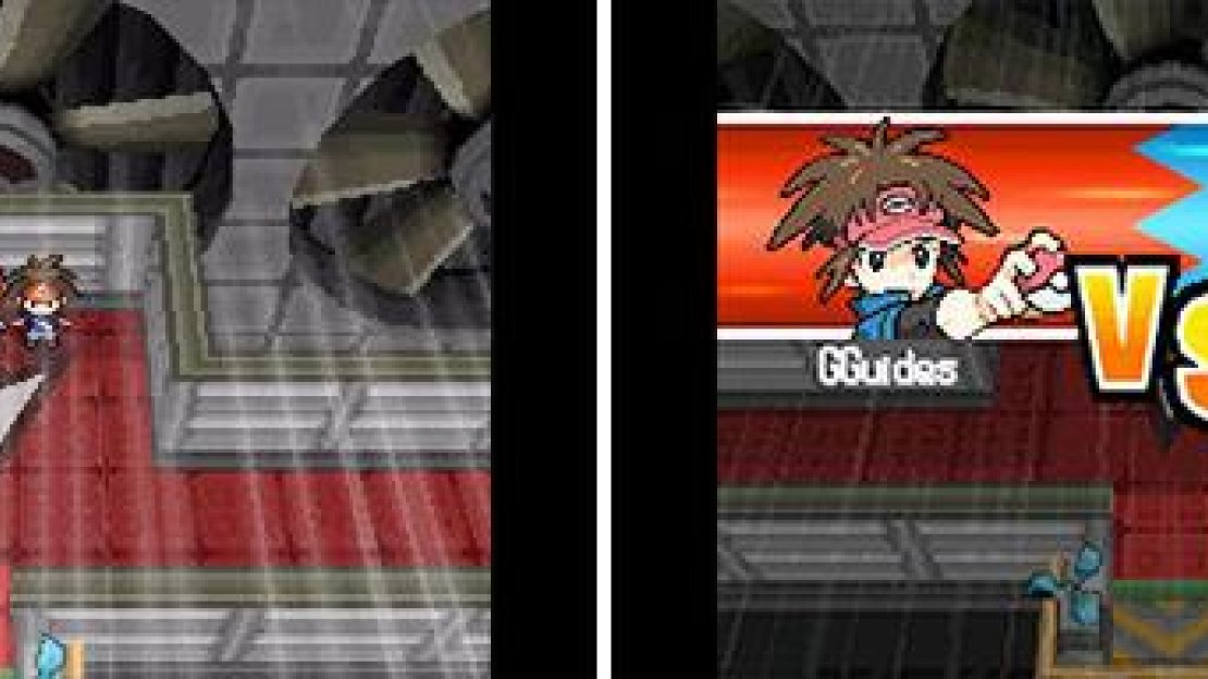 Skyla uses Flying-type Pokémon.