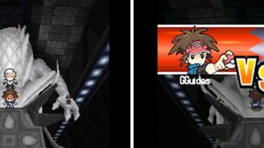Gym Leader Drayden uses strong Dragon Pokémon so come prepared!