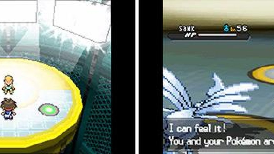 Marshal is a Fighting-type trainer.