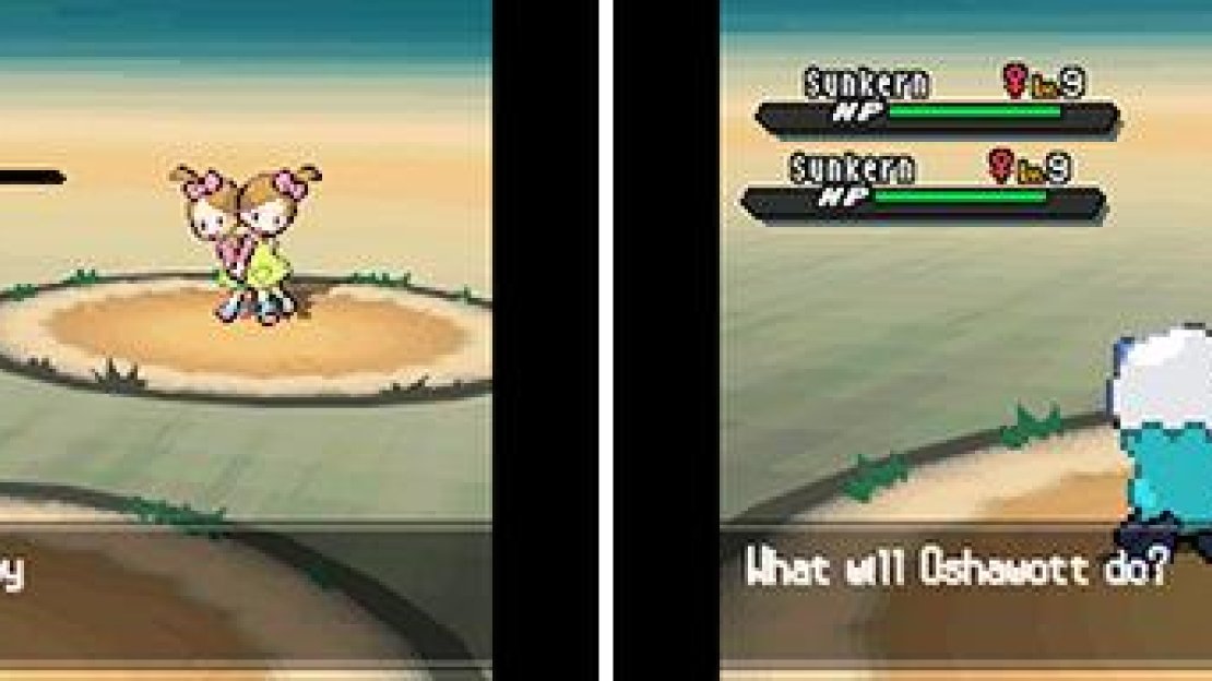 If you spot two trainers side by side, chances are it’s a double battle waiting to happen. You can also encounter wild double battles in the dark grass.
