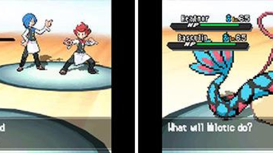 You can team up with one of the Gym Leaders against the other two every day.