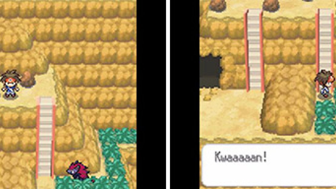 You’ll know you’re going the right way when Zoroark keeps running from you.