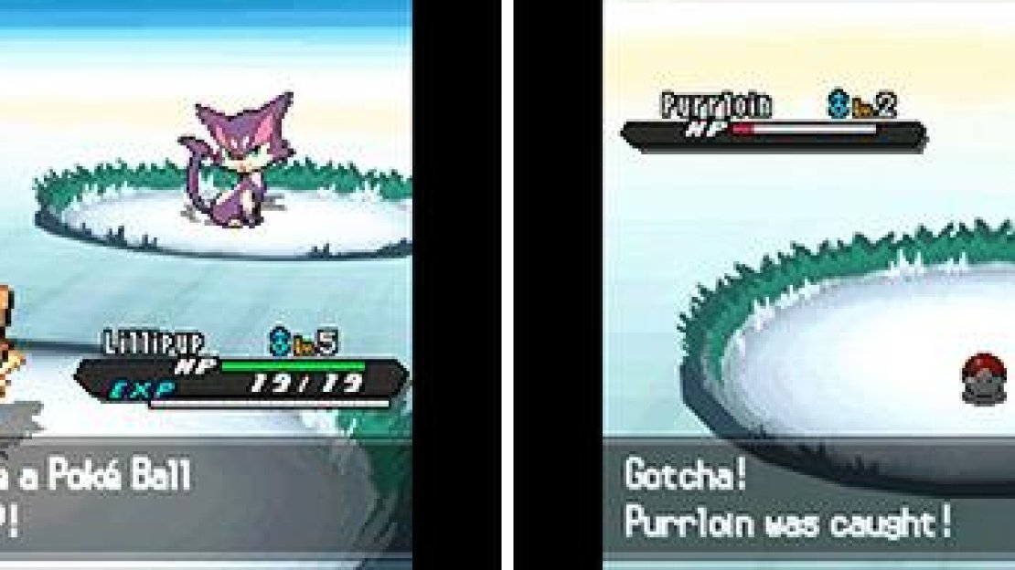 Always catch Pokemon when you can, even if they look silly or weak. More often than not, you can train and evolve them into real monsters later on.