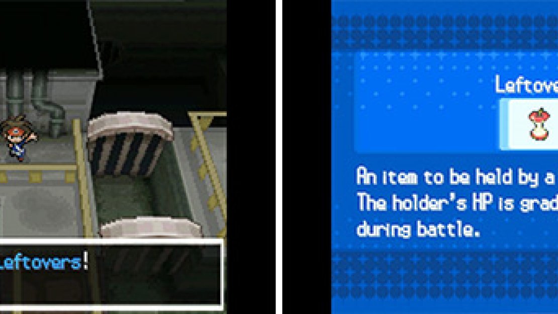 Bulky Pokemon will love Leftovers; this item lets them gradually heal HP during battle.