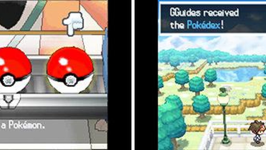Two things every trainer needs: A Pokémon and a Pokédex.
