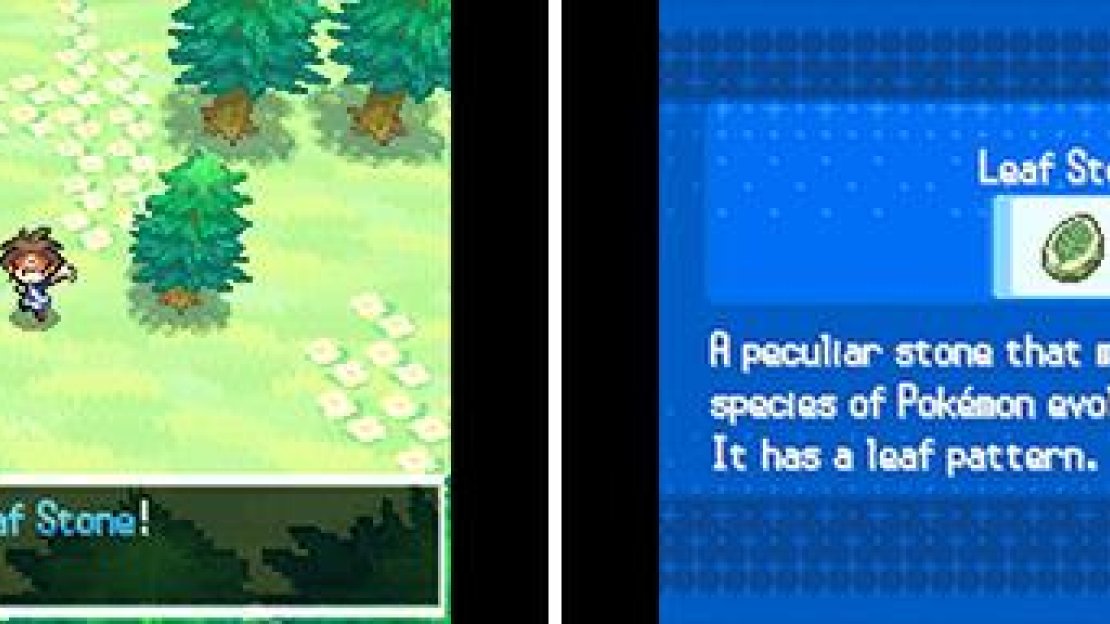 The Leaf Stone evolves certain Grass-type Pokemon. If unsure, call Professor Juniper on the Xtransceiver for advice.