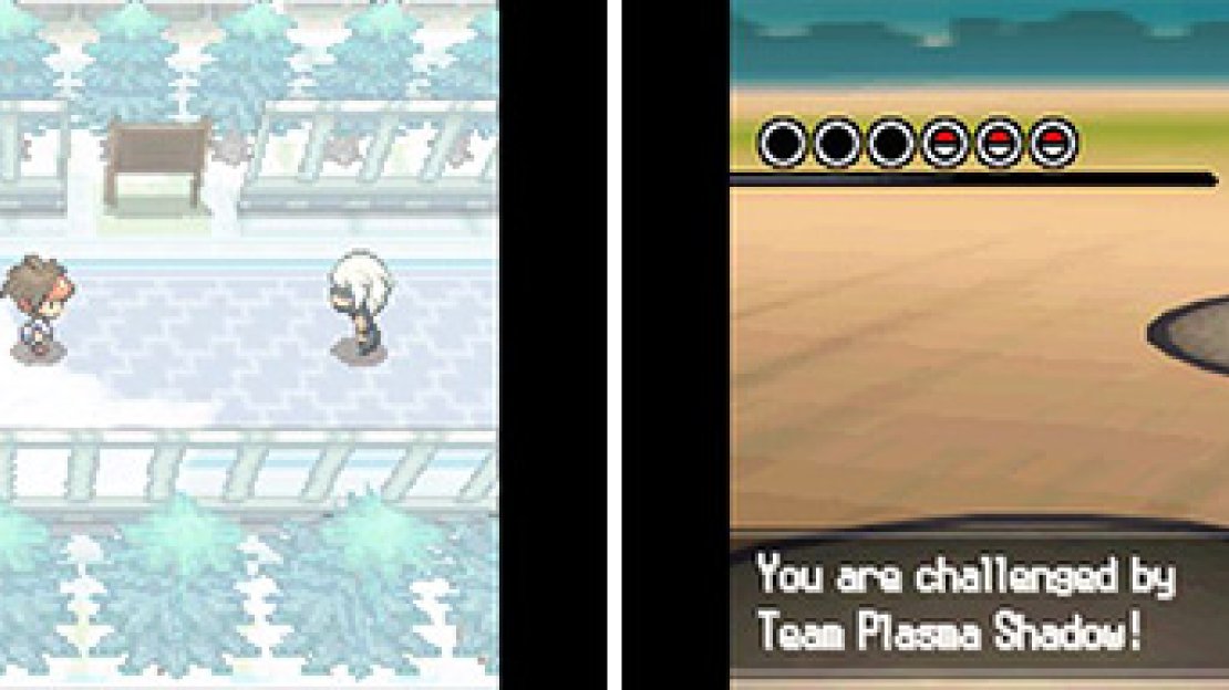 Trainer Battle: Team Plasma Shadow