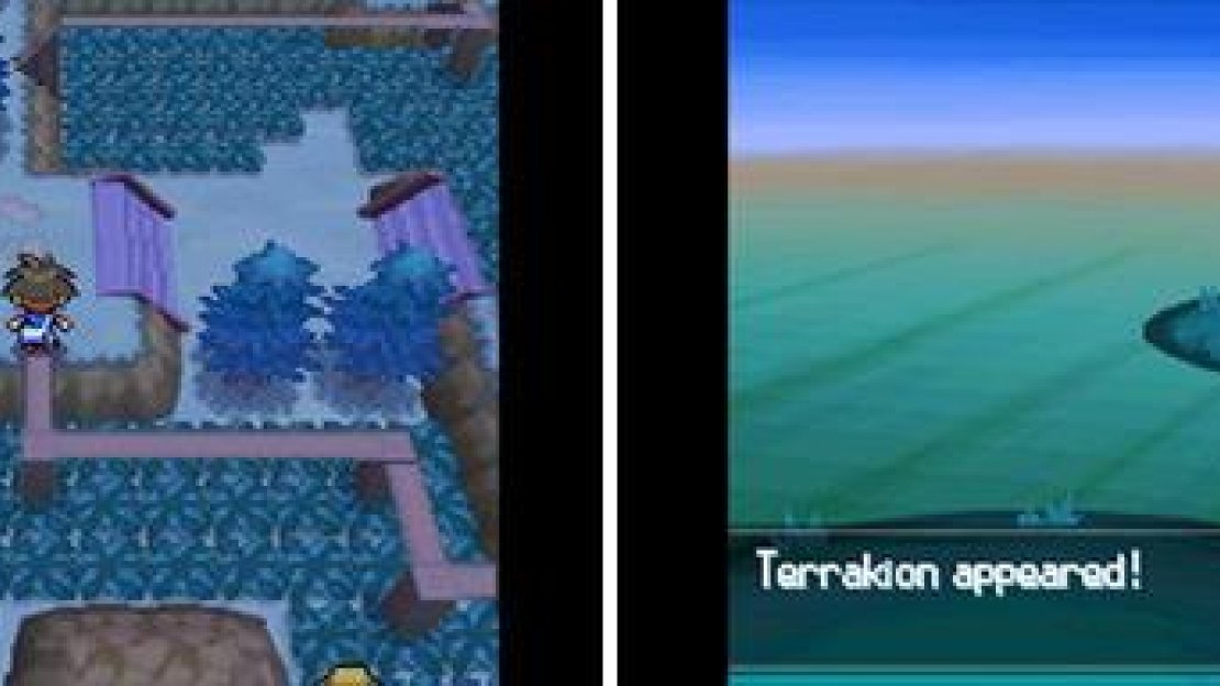 Battle for Terrakion!