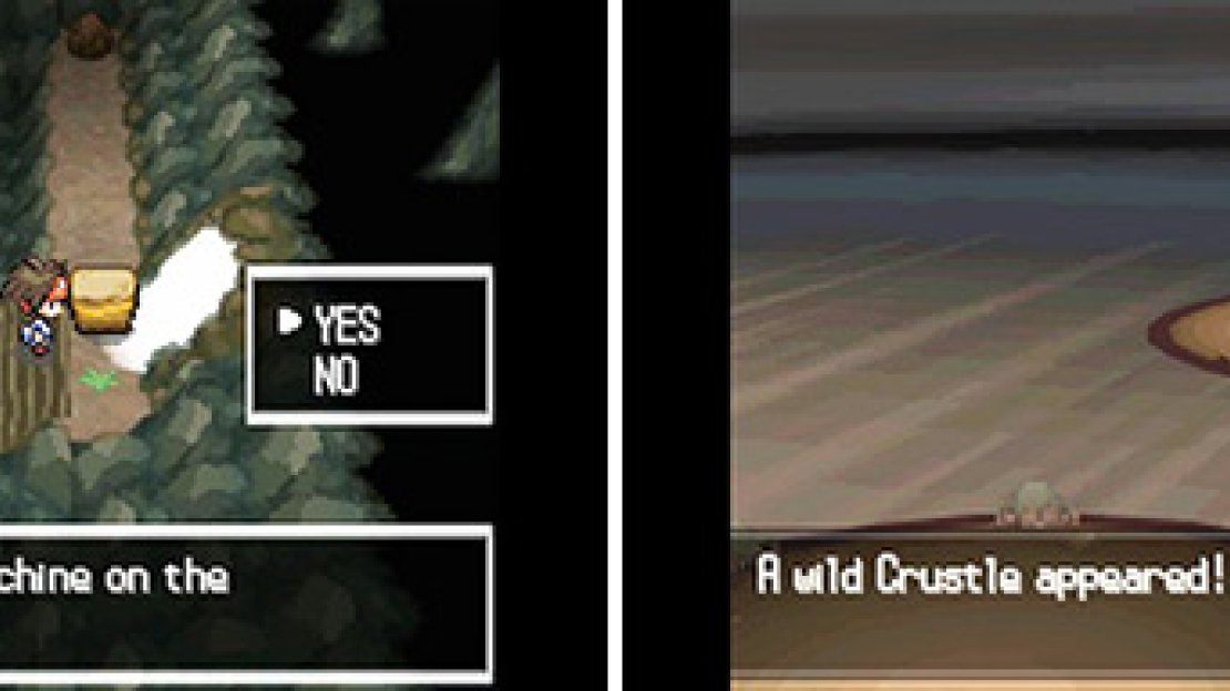 Battling Crustle, the Bug/Rock Pokémon.