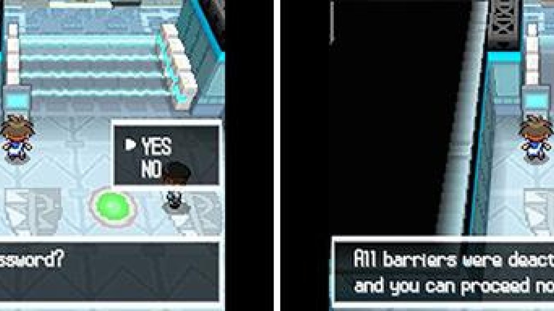 If the password is a Pokemon, it doesn’t matter what case you use. So if “Zekrom” is the answer, something like “ZEKROM” would be okay too. Or even “zEKrOm”.