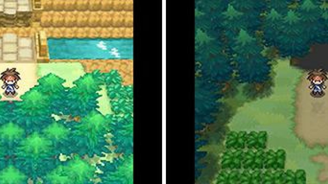 Victory Road - Forest