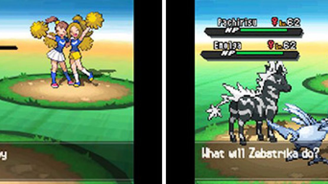 Double Battle: Backers