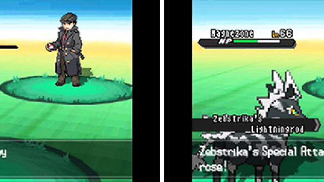 Trainer Battle: Veteran
