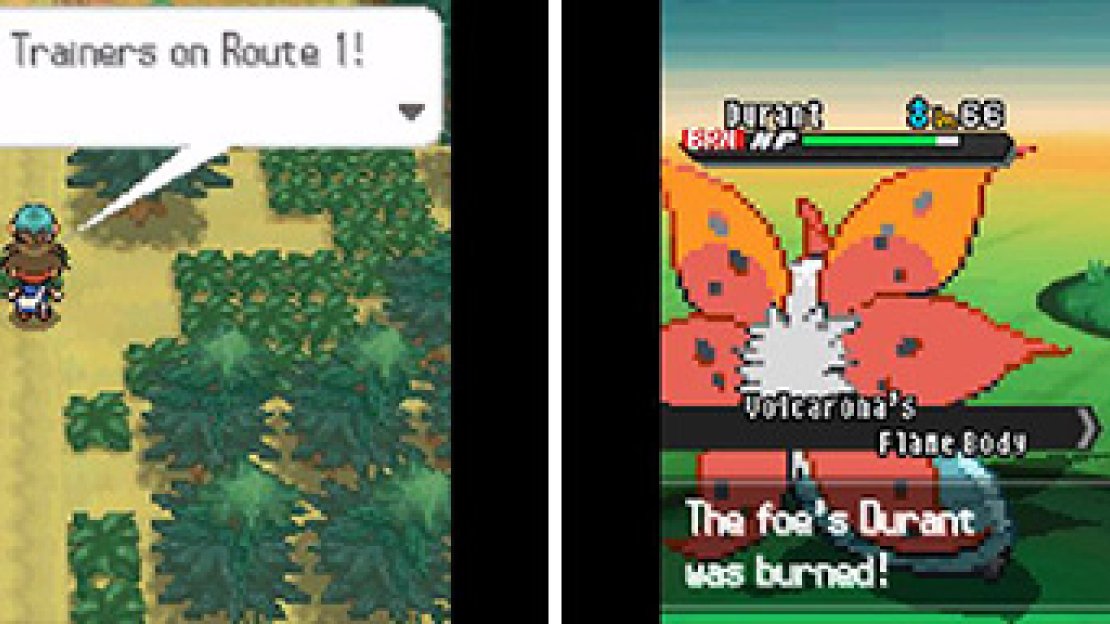 Trainer Battle: Ace Trainer