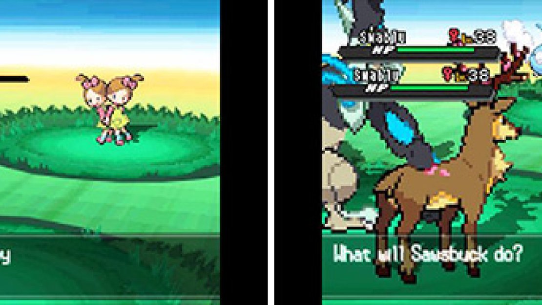 Double Battle: Twins