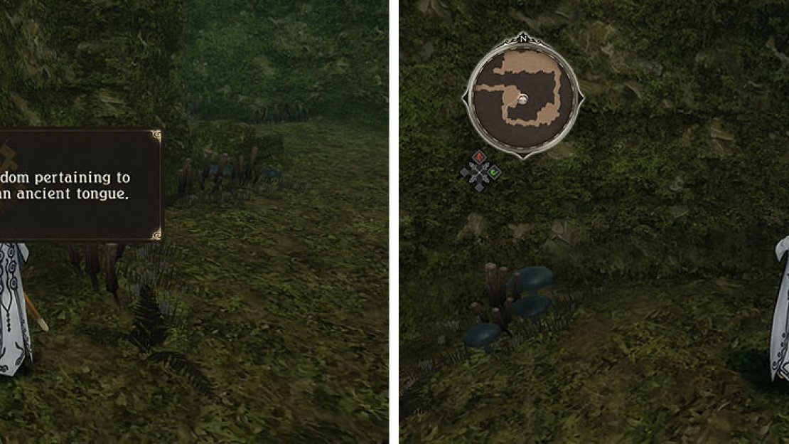 From the Monolith (left) follow the path south to find the Normin Gillium (right).