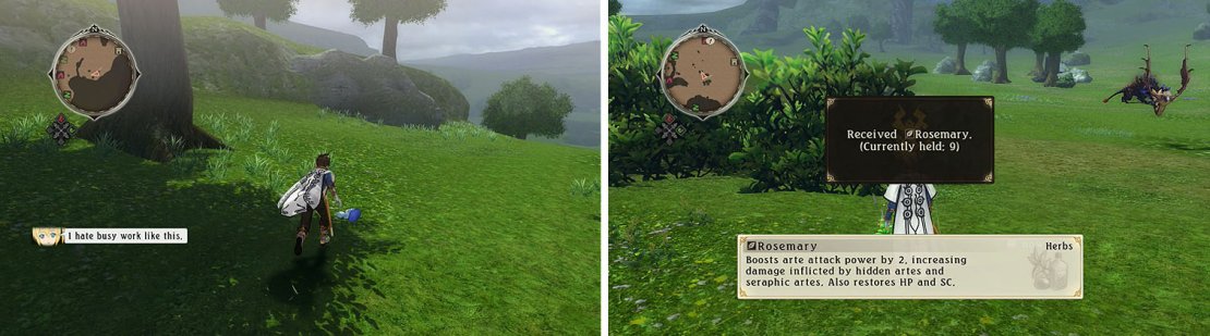 Check the Meadow’s outskirts for the Normin Gaine and some herbs.